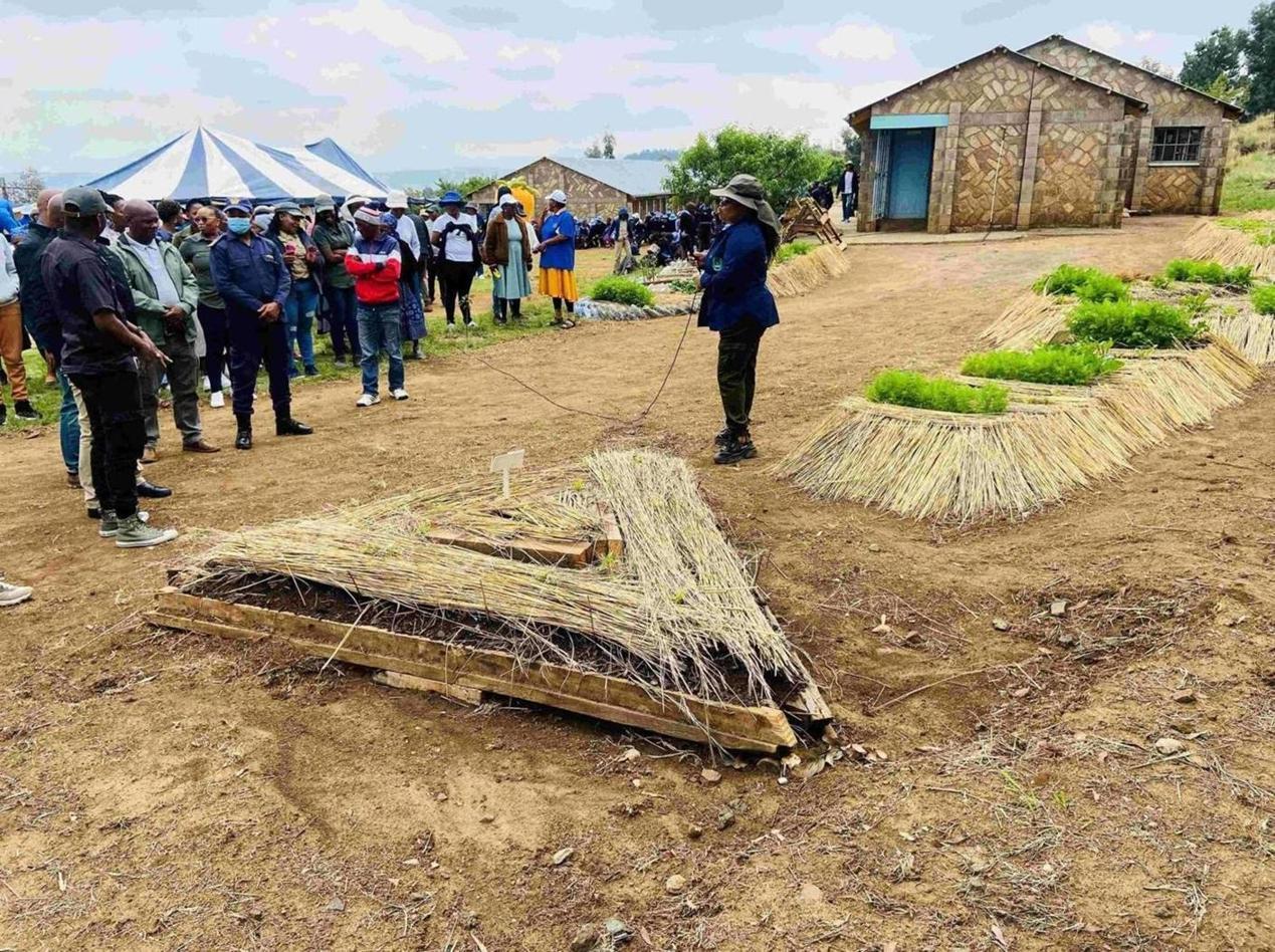 SCHOOL GARDENS CAMPAIGN LAUNCHED TO PROMOTE FOOD PRODUCTION SCHOOL GARDENS CAMPAIGN LAUNCHED TO PROMOTE FOOD PRODUCTION