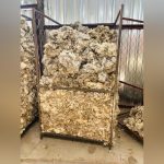 Ministry of Agriculture Opens Private Woodshed Ministry of Agriculture Opens Private Woodshed