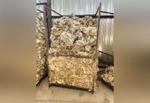 Ministry of Agriculture Opens Private Woodshed Ministry of Agriculture Opens Private Woodshed