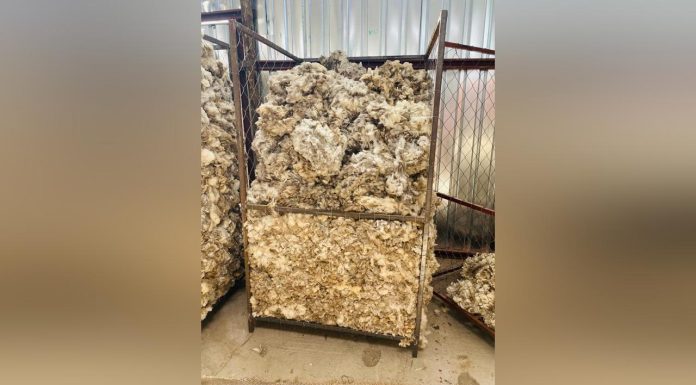 Ministry of Agriculture Opens Private Woodshed Ministry of Agriculture Opens Private Woodshed