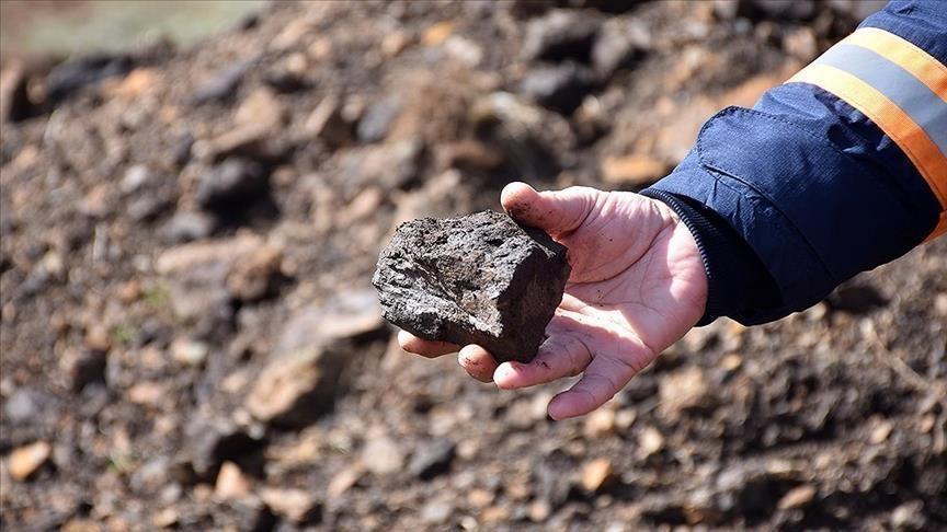 Scientists extract rare earth minerals from living plants Scientists extract rare earth minerals from living plants