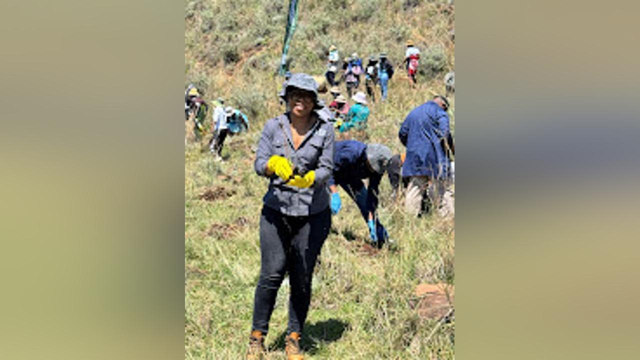 RSL PLANTS TREES IN KOROKORO RSL PLANTS TREES IN KOROKORO