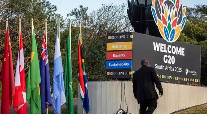 Debt Crisis and G20 Solutions in South Africa Debt Crisis and G20 Solutions in South Africa