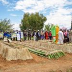 PATLONG CULTIVATES COLOURFUL CLIMATE SMART GARDENS PATLONG CULTIVATES COLOURFUL CLIMATE SMART GARDENS