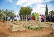 PATLONG CULTIVATES COLOURFUL CLIMATE SMART GARDENS PATLONG CULTIVATES COLOURFUL CLIMATE SMART GARDENS