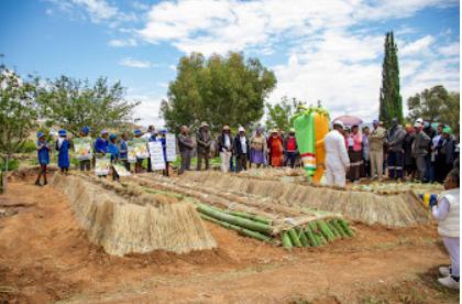 PATLONG CULTIVATES COLOURFUL CLIMATE SMART GARDENS PATLONG CULTIVATES COLOURFUL CLIMATE SMART GARDENS