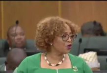 FINANCE MINISTER PRESENTS MID-TERM BUDGET REVIEW FINANCE MINISTER PRESENTS MID-TERM BUDGET REVIEW