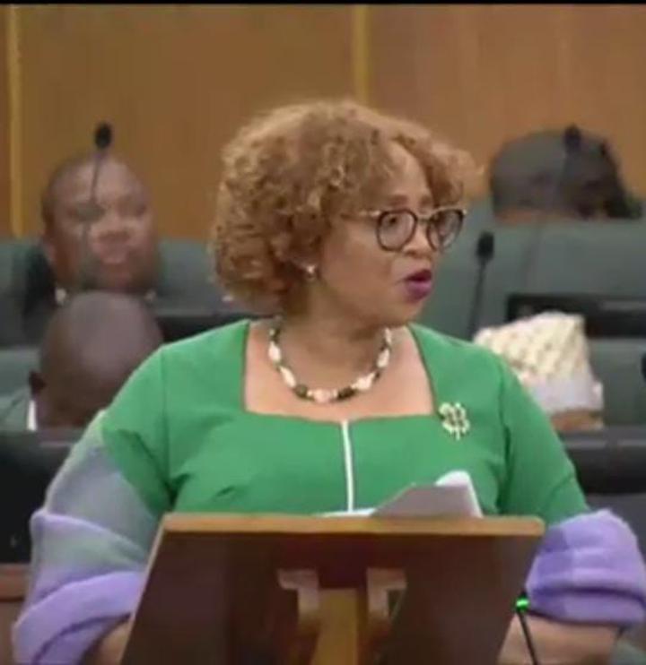 FINANCE MINISTER PRESENTS MID-TERM BUDGET REVIEW FINANCE MINISTER PRESENTS MID-TERM BUDGET REVIEW