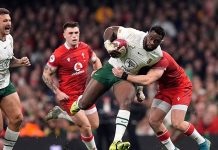 South Africa humiliates Wales in record 73-0 win in Cardiff South Africa humiliates Wales in record 73-0 win in Cardiff