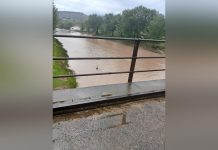 TRAVELERS URGED TO USE TELE BORDER FOR SAFETY TRAVELERS URGED TO USE TELE BORDER FOR SAFETY