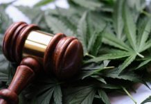 RAISING ADDICTS- FAST GROWING CHALLENGE FOR MOTHERS RAISING ADDICTS- FAST GROWING CHALLENGE FOR MOTHERS