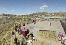 CRROA ANTICIPATES GOOD PSLE RESULTS FOR INMATES CRROA ANTICIPATES GOOD PSLE RESULTS FOR INMATES