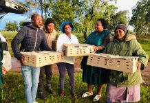 RESIDENTS RECEIVE BROILERS RESIDENTS RECEIVE BROILERS