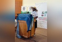 IT IS TIME TO RETURN TO OUR ROOTS – CINGWANA IT IS TIME TO RETURN TO OUR ROOTS – CINGWANA
