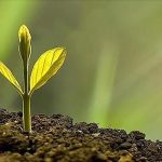 A Decade After Paris Agreement Progress and Promises A Decade After Paris Agreement Progress and Promises