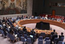UN Security Council Boosts Youth Role in Peace Efforts UN Security Council Boosts Youth Role in Peace Efforts