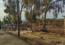 VENDORS’ SAY CHRISTMAS IA DULL VENDORS’ SAY CHRISTMAS IA DULL