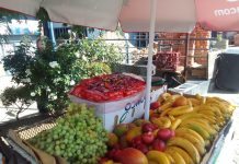 STREET VENDOR WANTS MORE PROFITS STREET VENDOR WANTS MORE PROFITS