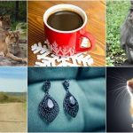 Year of the Bizarre: Shocking Global Events of 2025 Year of the Bizarre: Shocking Global Events of 2025