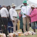 Festive Gifting to Continue in Hololo Festive Gifting to Continue in Hololo