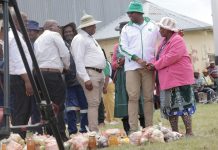 Festive Gifting to Continue in Hololo Festive Gifting to Continue in Hololo