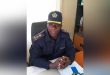 FESTIVE SEASON CLAIM NINE LIVES IN BEREA FESTIVE SEASON CLAIM NINE LIVES IN BEREA