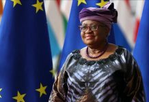 World trade remains resilient despite disruptions: WTO chief World trade remains resilient despite disruptions: WTO chief