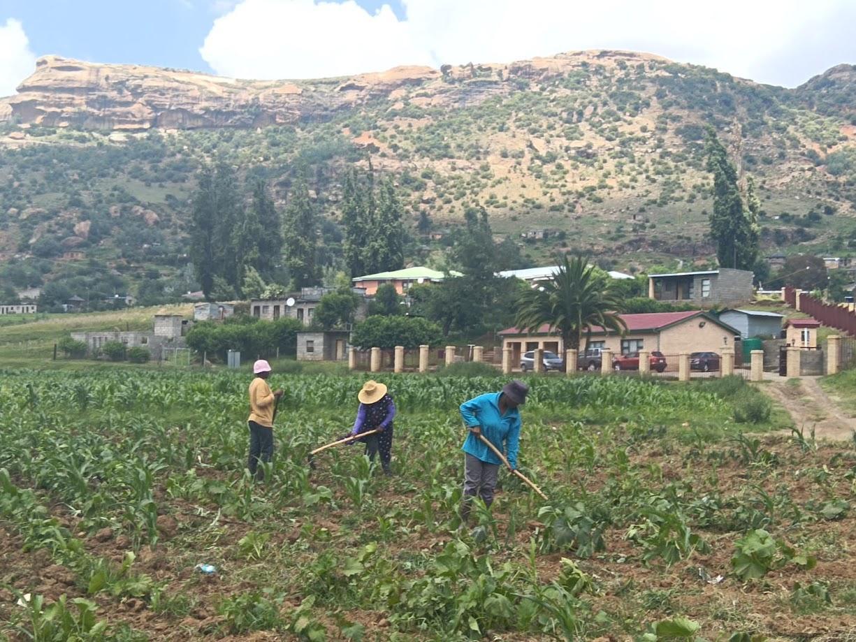 WORKERS CALL FOR REGULARISATION OF PAYMENT WORKERS CALL FOR REGULARISATION OF PAYMENT