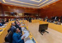 Africa pushes green agenda Africa pushes green agenda