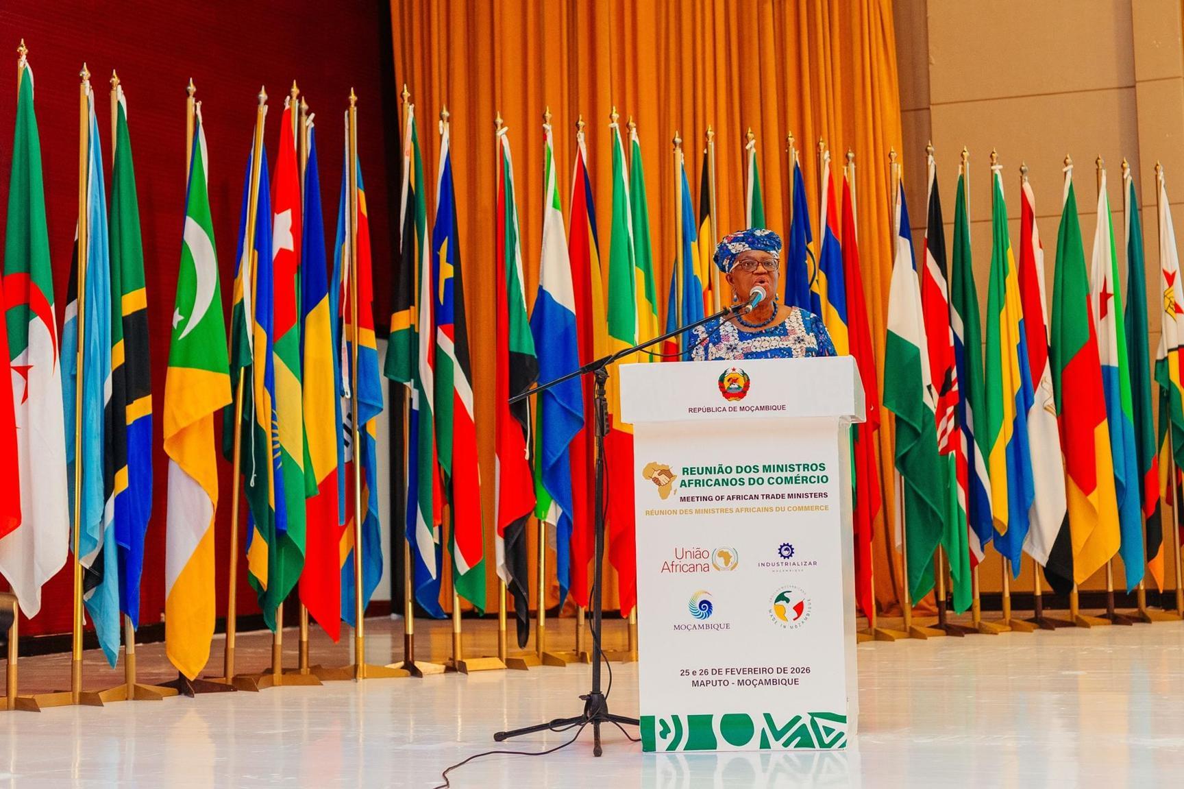 WTO Seeks $5 Billion for Africa's Cotton Processing WTO Seeks $5 Billion for Africa's Cotton Processing