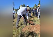 LESOTHO COMMEMORATES INTERNATIONAL DAY OF FORESTS LESOTHO COMMEMORATES INTERNATIONAL DAY OF FORESTS