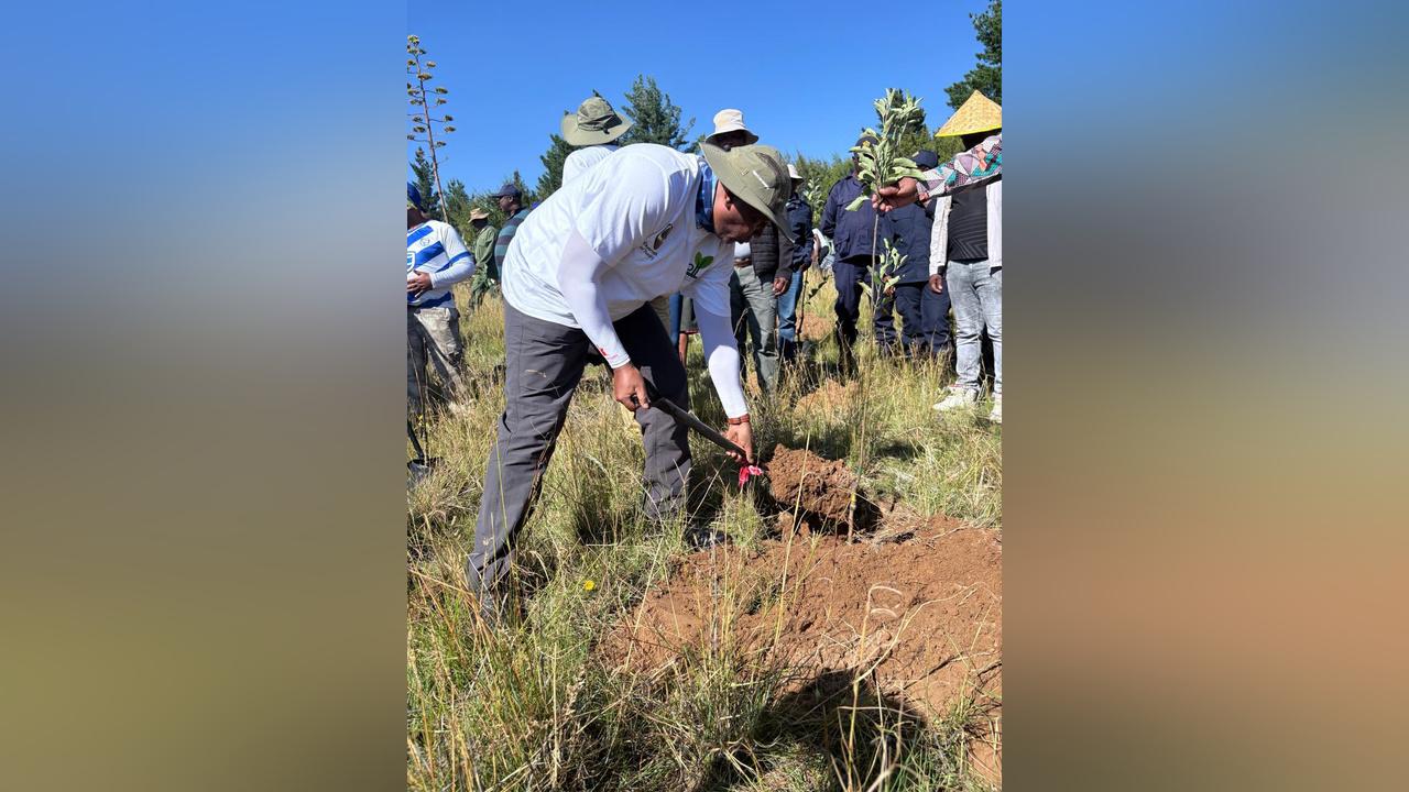 LESOTHO COMMEMORATES INTERNATIONAL DAY OF FORESTS LESOTHO COMMEMORATES INTERNATIONAL DAY OF FORESTS