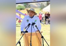 FRUITS PROMOTE HEALTHY LIFESTYLES – HIS MAJESTY FRUITS PROMOTE HEALTHY LIFESTYLES – HIS MAJESTY