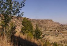 LESOTHO TO FACE SEVERE FOOD INSECURITY LESOTHO TO FACE SEVERE FOOD INSECURITY