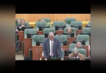 Capital Budget Essential for Economic Growth Rapapa Capital Budget Essential for Economic Growth Rapapa