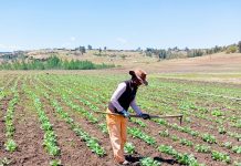 Graduates Thrive Through Skills Learned at School Graduates Thrive Through Skills Learned at School