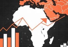 Africa’s Public Sector Growth: Risks and Fiscal Challenges Africa's Public Sector Growth: Risks and Fiscal Challenges