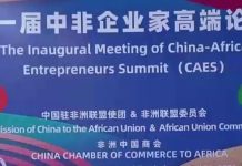China-Africa Entrepreneurs Summit Promotes Deeper Ties China-Africa Entrepreneurs Summit Promotes Deeper Ties