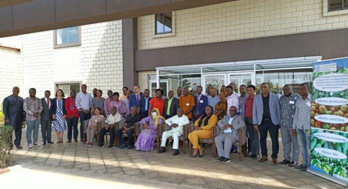 FAO Concludes Phase II of blended Learning Programme for responsible Agriculture Investment in MRU basin FAO Concludes Phase II of blended Learning Programme for responsible Agriculture Investment in MRU basin