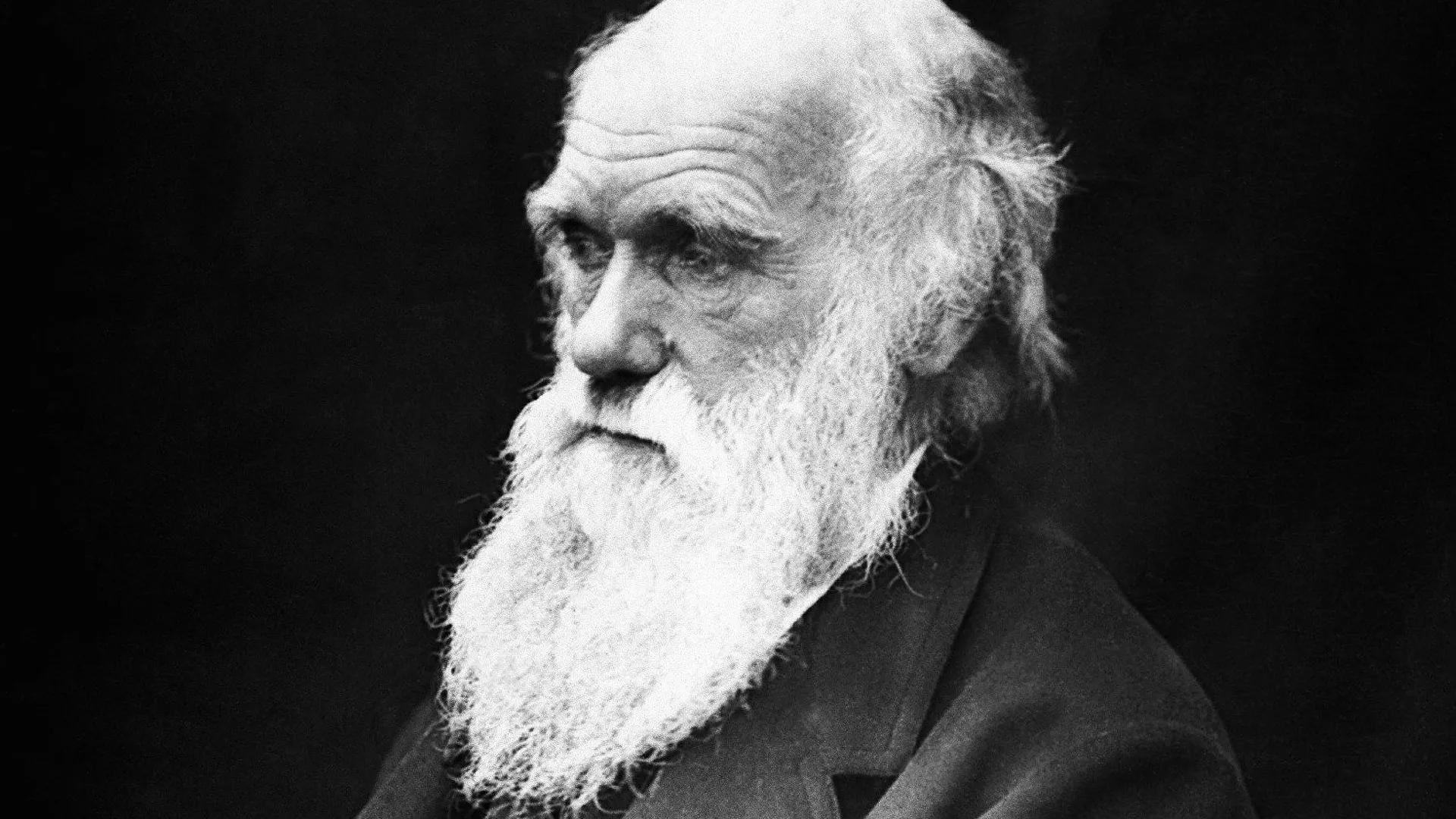 Charles Darwin 'Stole' His Theory of Evolution From Fellow Naturalist, New Book Claims Charles Darwin 'Stole' His Theory of Evolution From Fellow Naturalist, New Book Claims