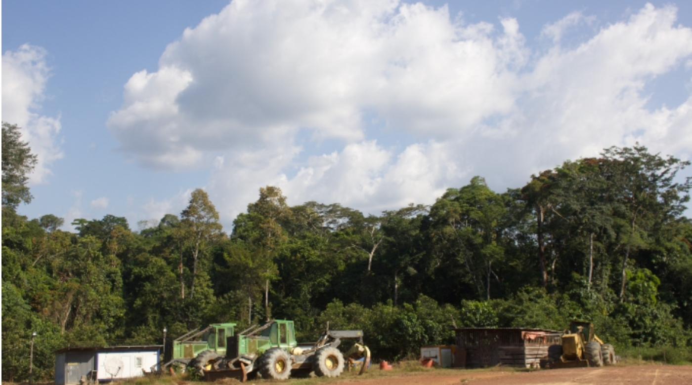 After Failing Locals in Large Concessions, Italian Tycoon Lets Community Forests Down After Failing Locals in Large Concessions, Italian Tycoon Lets Community Forests Down After Failing Locals in Large Concessions, Italian Tycoon Lets Community Forests Down After Failing Locals in Large Concessions, Italian Tycoon Lets Community Forests Down