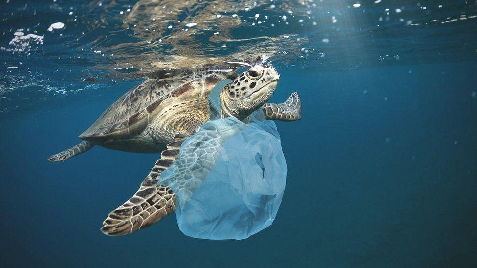 Plastic pollution: Green light for ‘historic’ treaty - Liberia