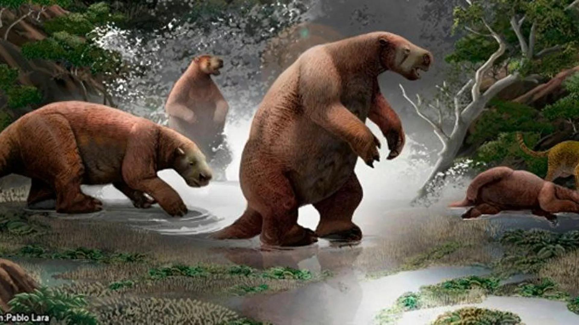 We Will Go Extinct But That's Okay: Earth's History Suggests New Life Forms Will Substitute Humanity We Will Go Extinct But That's Okay: Earth's History Suggests New Life Forms Will Substitute Humanity