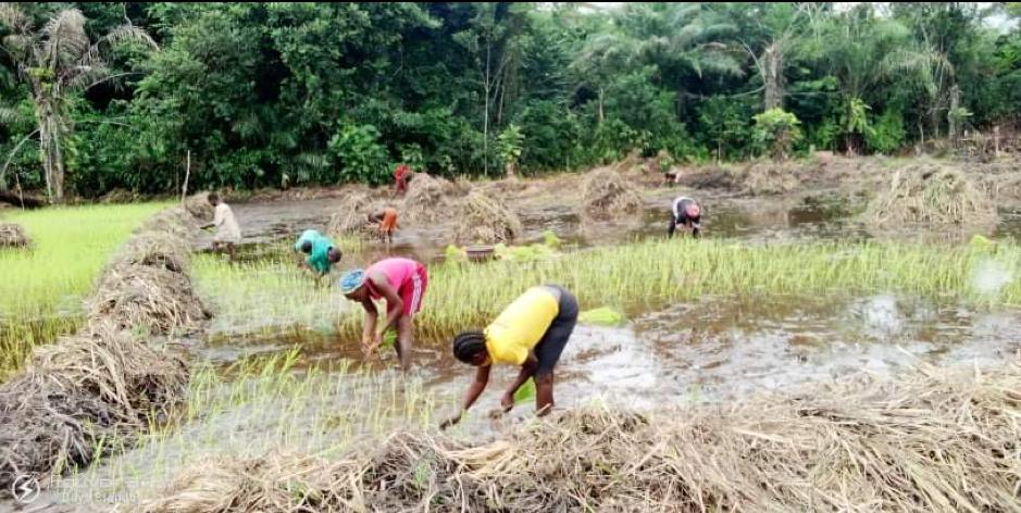 Women Stand More Risk To Effects Of Deforestation, Land Degradation, Drought, New UNCCD Study Reveals Women Stand More Risk To Effects Of Deforestation, Land Degradation, Drought, New UNCCD Study Reveals