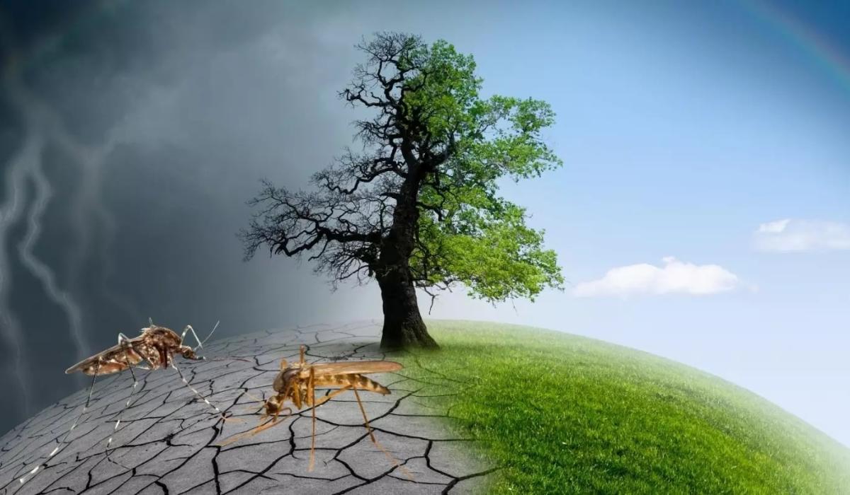 Let Africa’s common position on energy transition take root. We deserve it Let Africa’s common position on energy transition take root. We deserve it