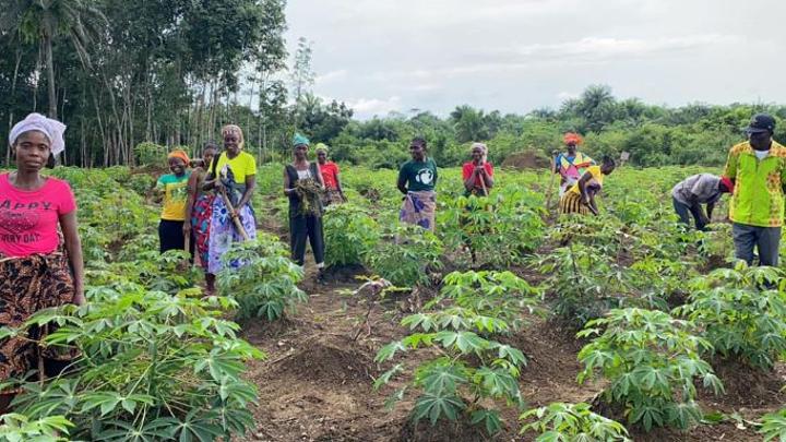 Double Down Liberia’s Farmers In Dire Need Of Just Adaptation And ...