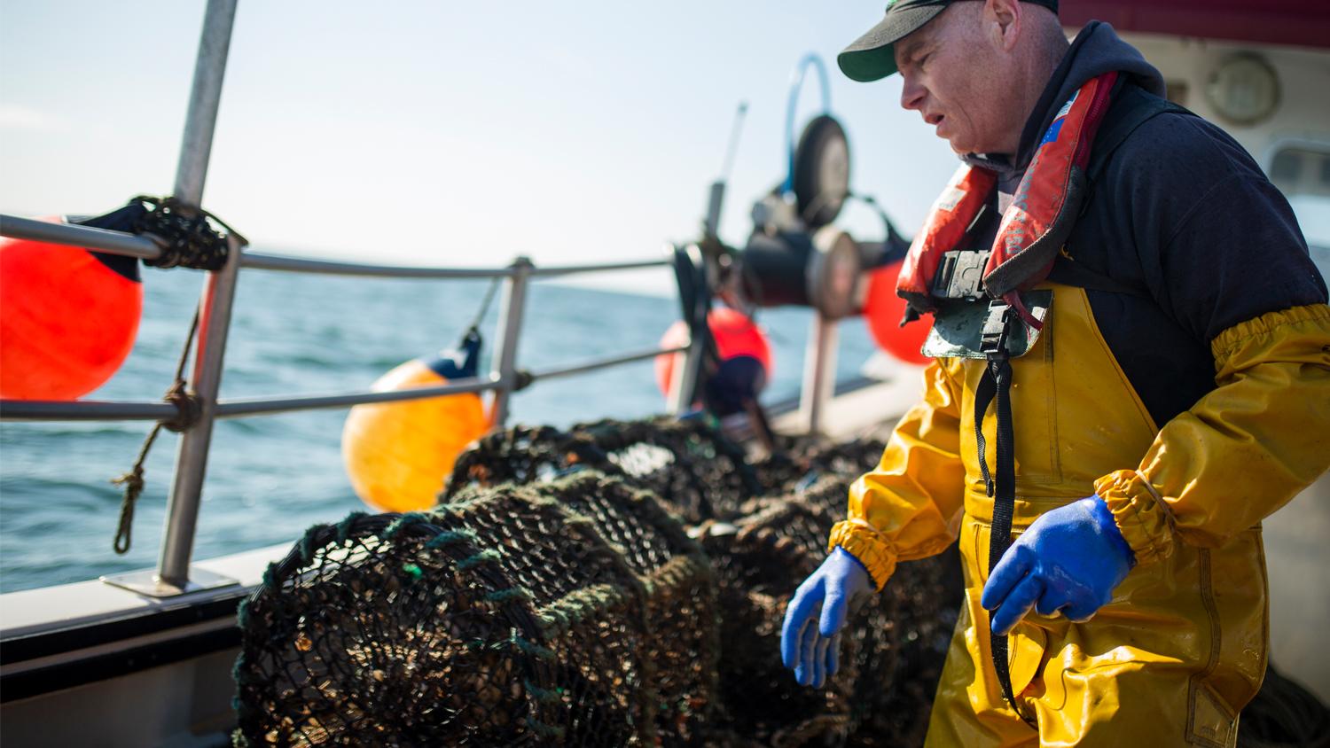Calls for Safety at Sea for Fishermen Calls for Safety at Sea for Fishermen