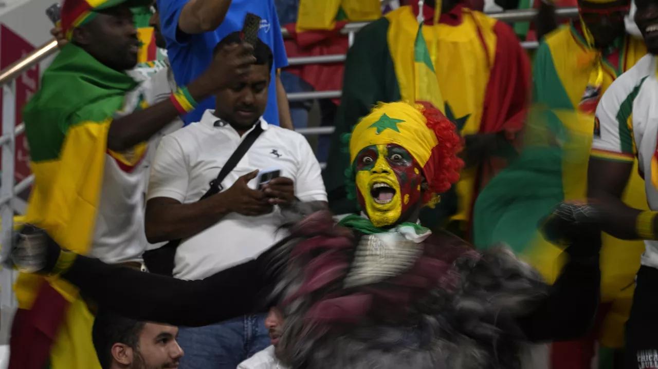African Fans Voice Support for Senegal, Morocco Ahead of FIFA World Cup 2022 Round of 16 in Qatar