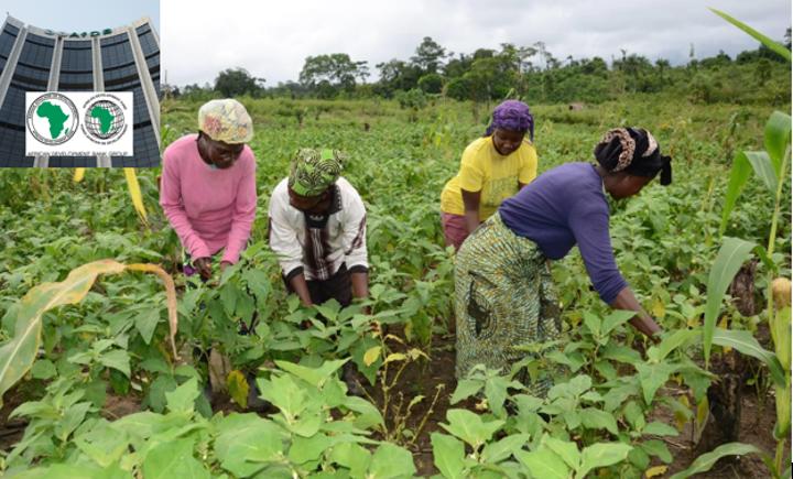 Liberia: African Development Bank Group Approves $ 5.12 Million Financing for Emergency Food Production Program Liberia: African Development Bank Group Approves $ 5.12 Million Financing for Emergency Food Production Program