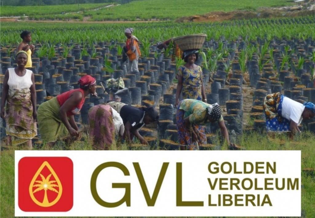 Liberia: GVL Outlines Challenges, Experienced Significant Loss in 2022 Liberia: GVL Outlines Challenges, Experienced Significant Loss in 2022